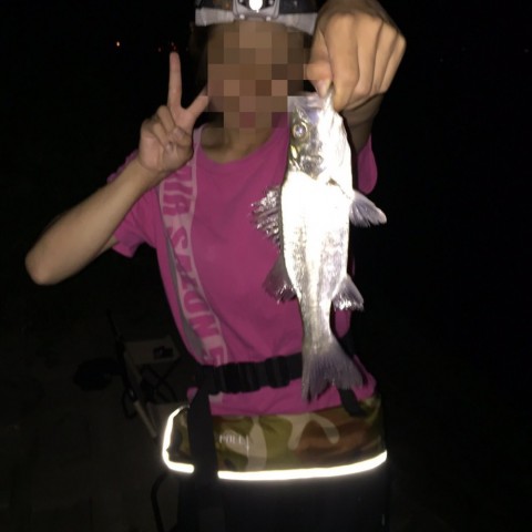 thmvksjpczfr7dmgmdsz_480_480-e1dffa48.jpg