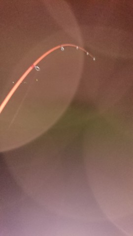 thrz795b996piinm6bvn_518_920-acbb4484.jpg