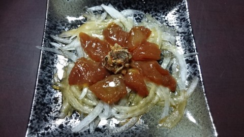 thz33smzosaoayccwtep_480_480-216fb53a.jpg