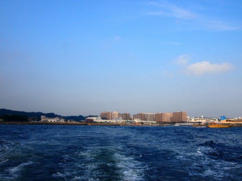 tijhhioaru9tfmwfjbav_480_480-a40ac8cf.jpg