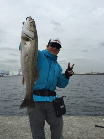 tinmj3ba44gf998jr7ec_690_920-a1a71c23.jpg