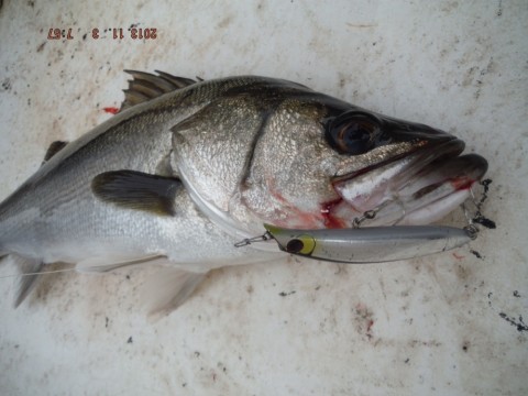 tirf42fbcdpzhjz7rx68_920_690-dda70e09.jpg