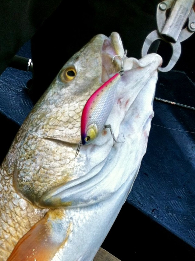 sakanaさま専用 スーパーファミコンソフト ラブクエスト