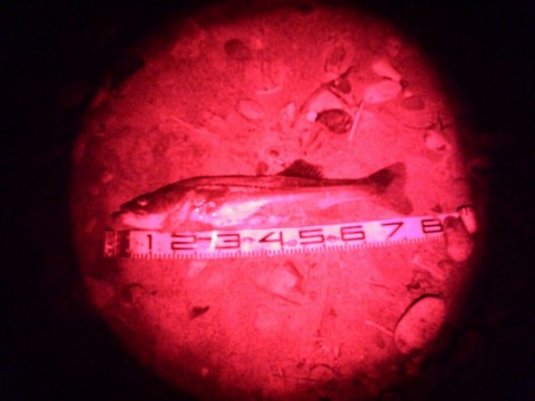 tjgkuexjsinkanyohw6c_920_690-1bb9dcab.jpg