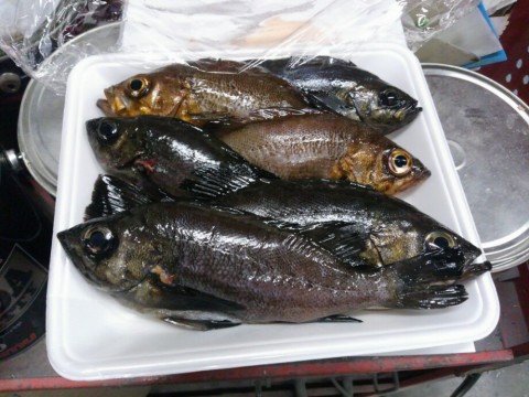 tjiu339jvgfk4nnkbsjg_920_690-54b46ab3.jpg