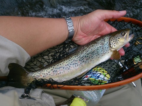 tjmo38jb74t7937edjhw_920_690-26428904.jpg