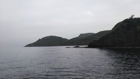 tjpv53ievebnoiykeedh_480_480-2e0d36ed.jpg