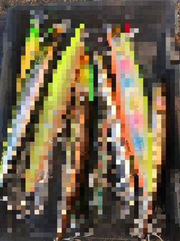 tju9g9m5bmadmib84eyv_480_480-583a1d53.jpg