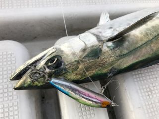 tjy96mzmi334szi3avh3-df7e9f83.jpg