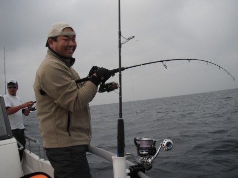 tk5gxhxwiwrjy4t6emzz_480_480-f082c4b7.jpg