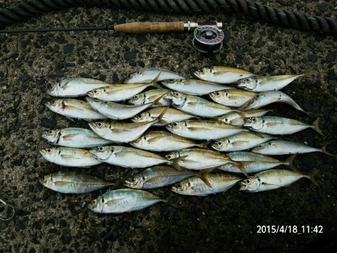 tkg9wnz5x39zkwx9r5d2_920_690-0aebf550.jpg