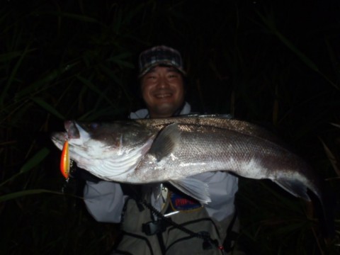 tkgg7vo2b3s3ghjk833w_480_480-d294cb25.jpg