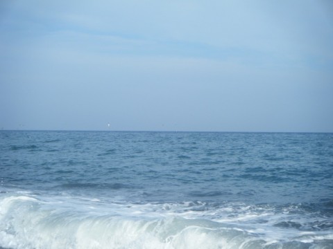 tkwi842hmkf5m2wat7ok_480_480-0b3783a0.jpg