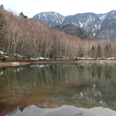 tkxpt3rbfig4zft6x563_920_920-4d62feb9.jpg