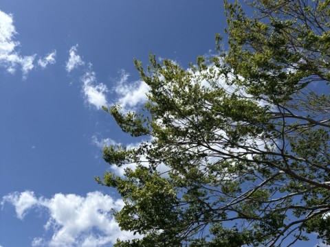 tmax9hsf2odh2mpmujx4_480_480-2d850027.jpg