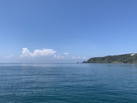 tmh42km2mp9hsgo2oj4c_480_361-c0eedbf5.jpg