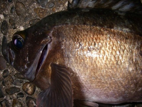 tmoiafurwktd2sa344uj_920_690-14947f14.jpg