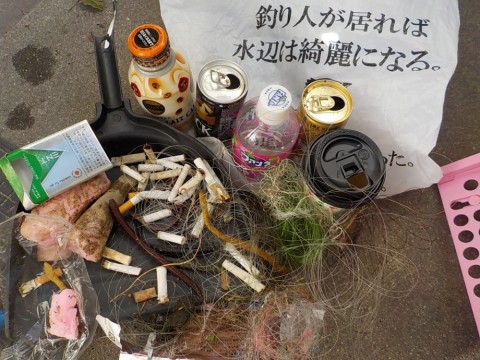 tmuhvtvhg6kr934shwaa_480_480-63f2ffd2.jpg