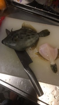 tmwupxg2rbj4exrordhp_270_480-f0aa6dc8.jpg