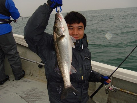 tn3c7ok63rjubgjjj3kj_480_480-eea497ba.jpg