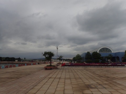 tn3ntxaxcnhyodbwytw3_480_480-72d82ed4.jpg