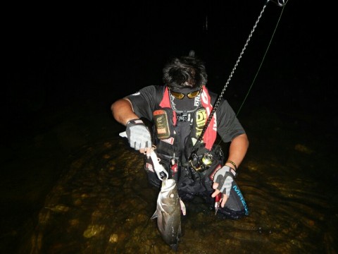tn98gc4id5rebxjgwba6_920_690-1962f83b.jpg