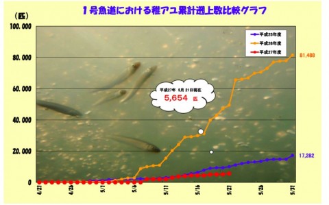 tnidwuf5v8tfks4m55x9_480_480-be44347d.jpg