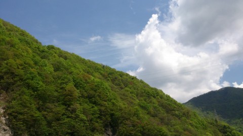 to5n3dbmp2s5sbc8mujv_480_480-8ae63ff8.jpg