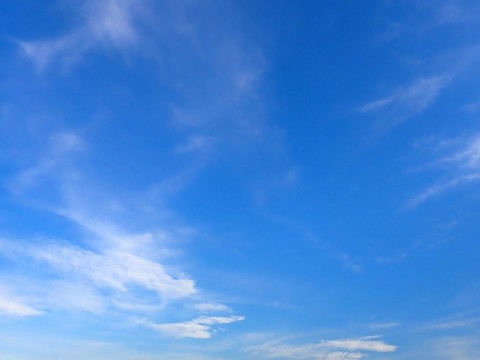 toa32mufssxdjs6idb2d_480_480-03d13843.jpg