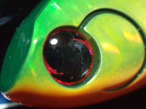 tobd3jk3rdiwjmh8znfi_480_480-620c5b5c.jpg