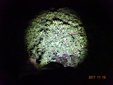 tojttsrr6ek2gby5cs3y_480_480-d72ccd11.jpg