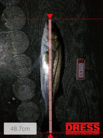 tosozsocr59suy4dc93y_690_920-b20c5573.jpg