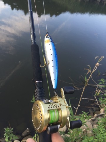 tow7antsruw2ditdft78_690_920-f815443a.jpg