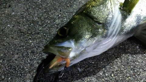 tp78wbrm5ygf7i8uypf6_920_518-8e1c63cb.jpg