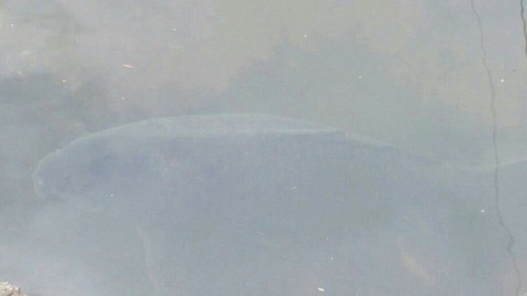 tp9a4gxzx2e7ddduiywi_920_517-5bcf997a.jpg