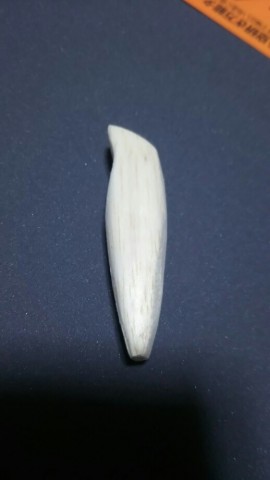 tpriog3i7dbu6ii3zsxv_518_920-a4a3c7e0.jpg