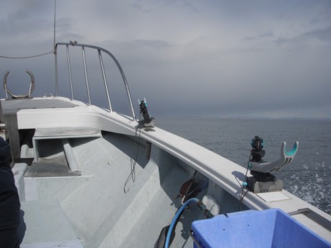trw9nen3yf696w8kkwpc_480_480-9ef48cd4.jpg