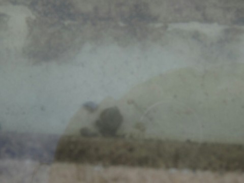 tryeop2w56776vgnnzk5_920_690-d67368bf.jpg