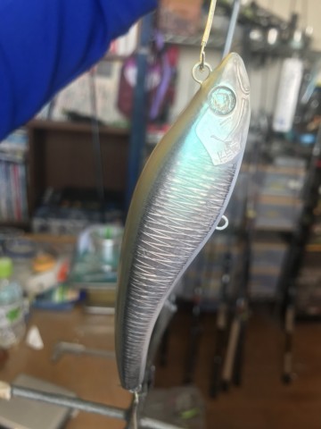 ts95ruxrz39mo8cm7ysz_480_480-35e20f0f.jpg