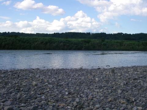tsrm2o2fbajthnrj89pi_480_480-88025888.jpg