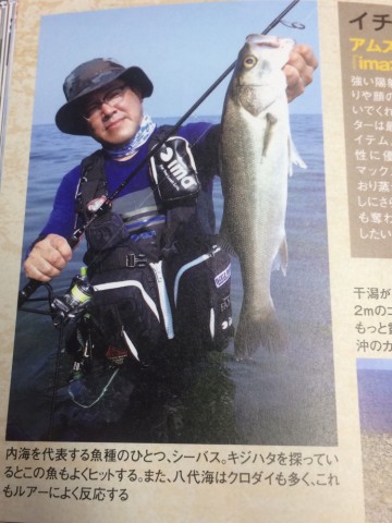 tt38tkcyxhkzwdob2ty6_690_920-517c64e4.jpg
