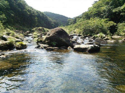 tt8nyui3icenwg6x49cj_480_480-3577c02d.jpg