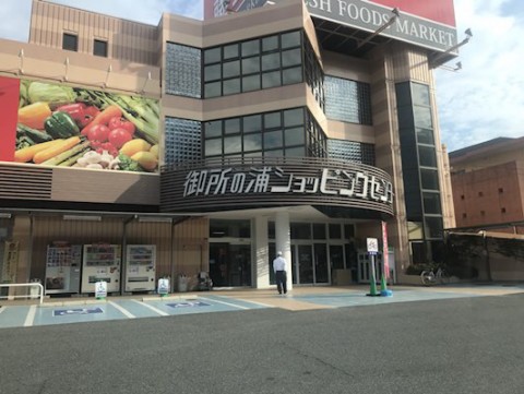ttgn642b2wgf2jcxvh5y_480_361-5bd5a356.jpg