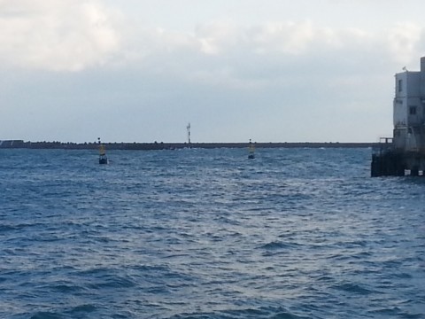ttnv8wyc8jr5isij6jg7_480_480-3bb592be.jpg