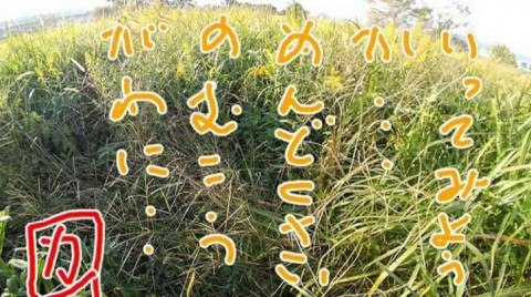 ttrghoh8nv4biut2pvxt_480_480-c559ee97.jpg