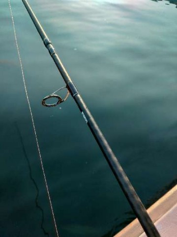 ttxn7j2mvd37g4gfovnb_480_480-f6405ae9.jpg