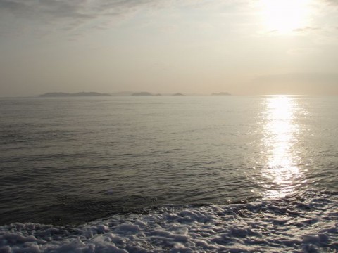 tu836bpo6cxxuy7d2xpy_480_480-828e41e1.jpg