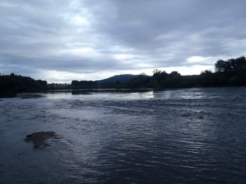 tukydhbn2pt2k6pzj72h_480_480-e7720651.jpg