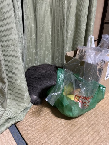 tuuwf884yg3x568j872u-f7af7861.jpg
