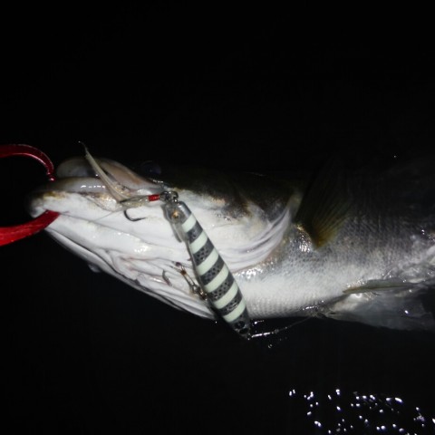 tuwwzab2idaixpjkmm8k_920_920-301c861d.jpg